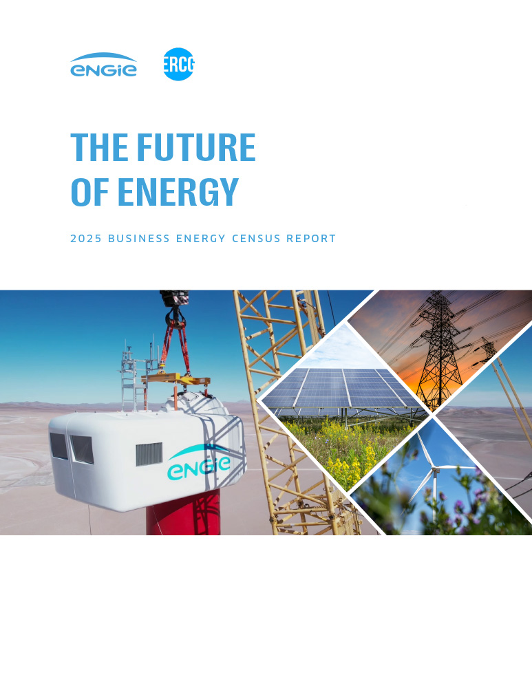 Cover Image Business Energy Census 2025