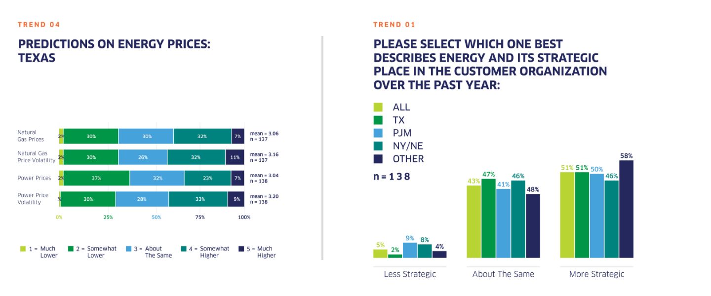 Census Report Graphs