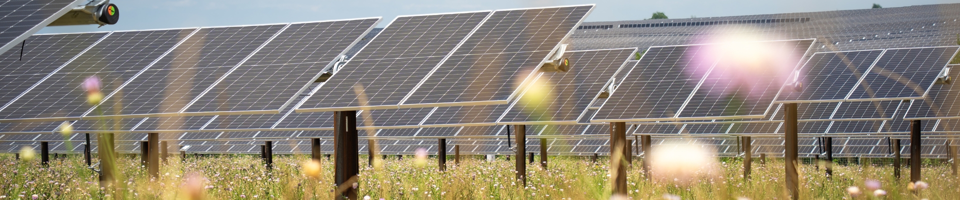 Blog Chillingham Solar BESS