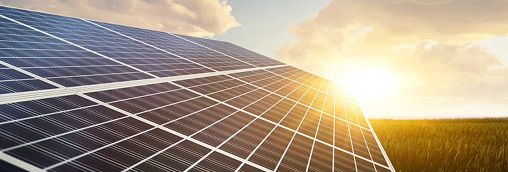 Hero Banner Business Energy Census 2025