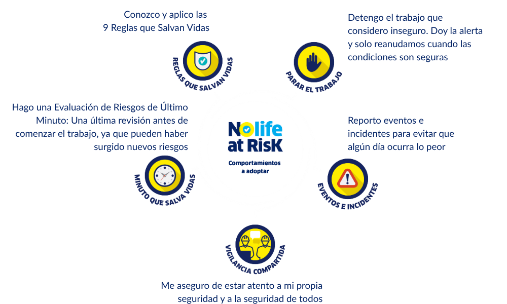 No Life At Risk Schema Spanish