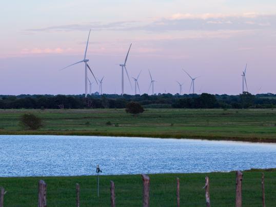 Prairie Hill Turbine Beauties