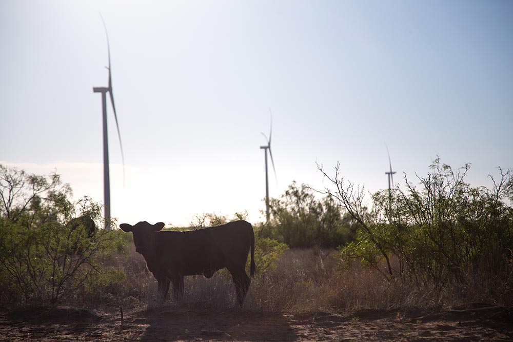Renewables Wind Turbines Jumbo Hill