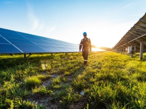 Solar Panels and Worker