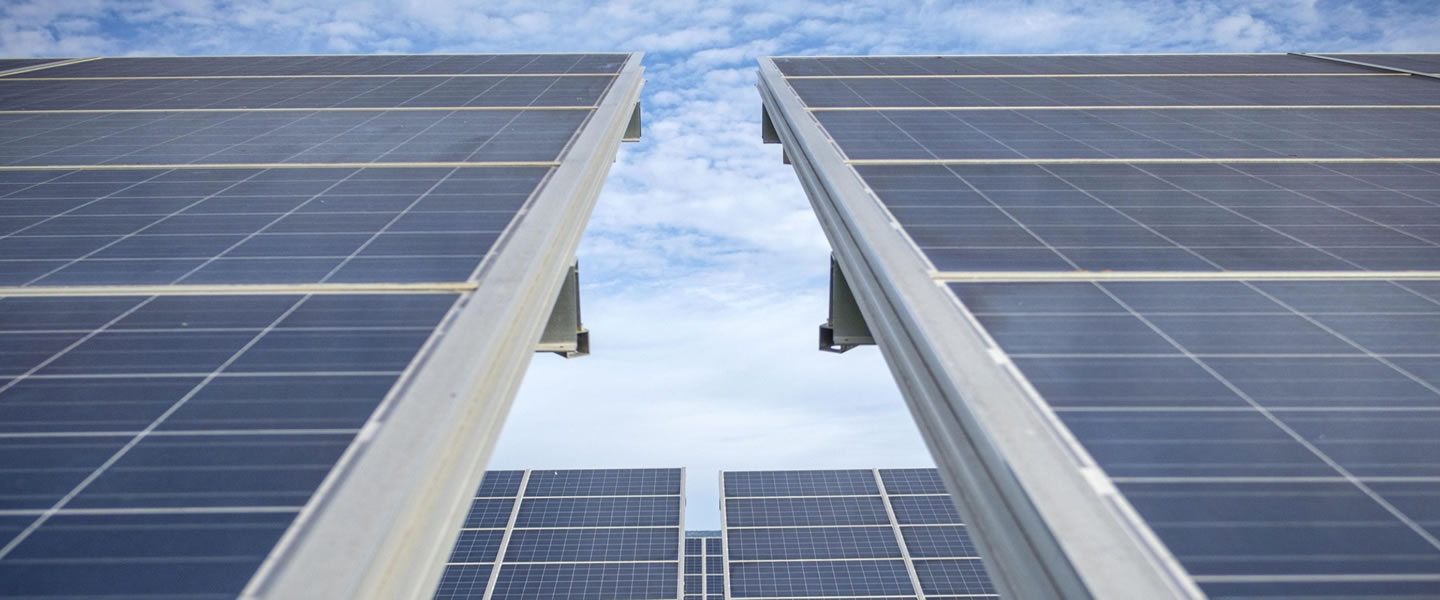 Sustainability Performance