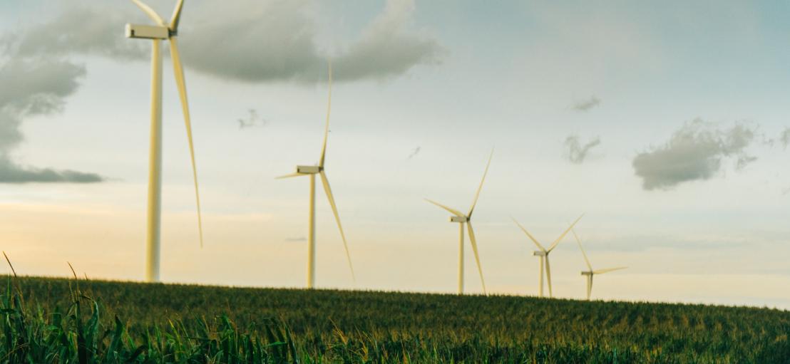 Solomon Forks turbines